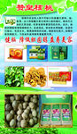 赞皇核桃