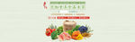 宠物食品banner