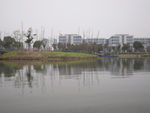 尚贤河湿地