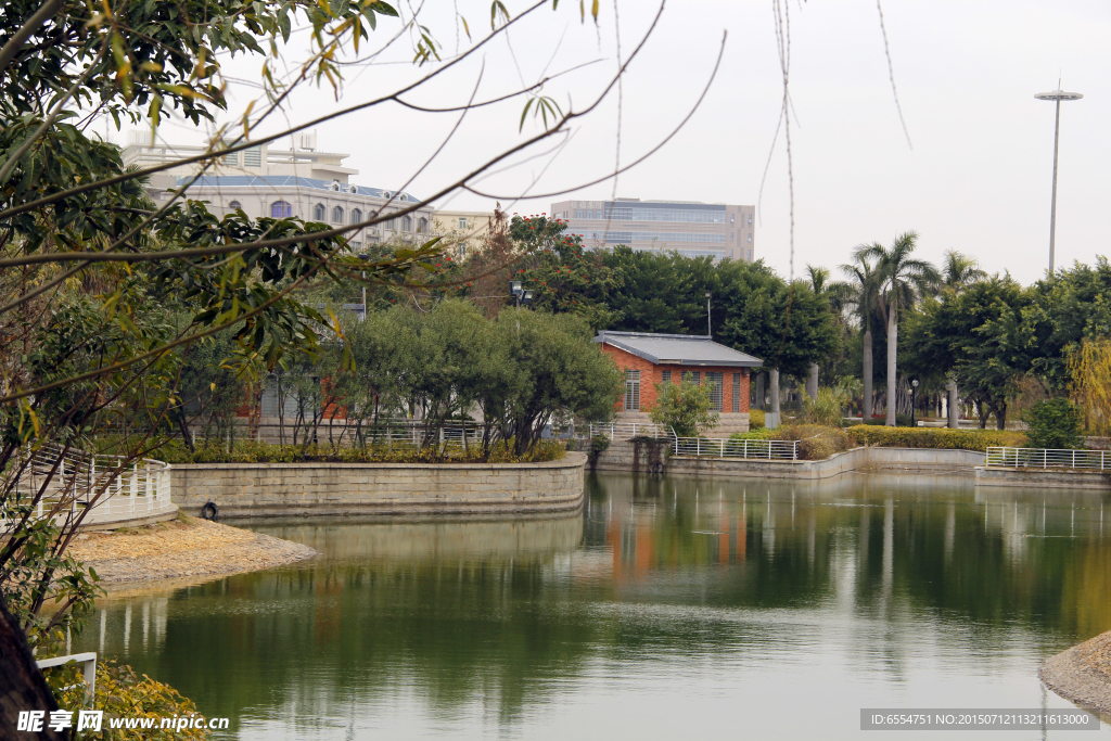 晋江世纪公园 湖水 清澈池塘