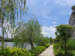 绍兴钱清西小江畔风景