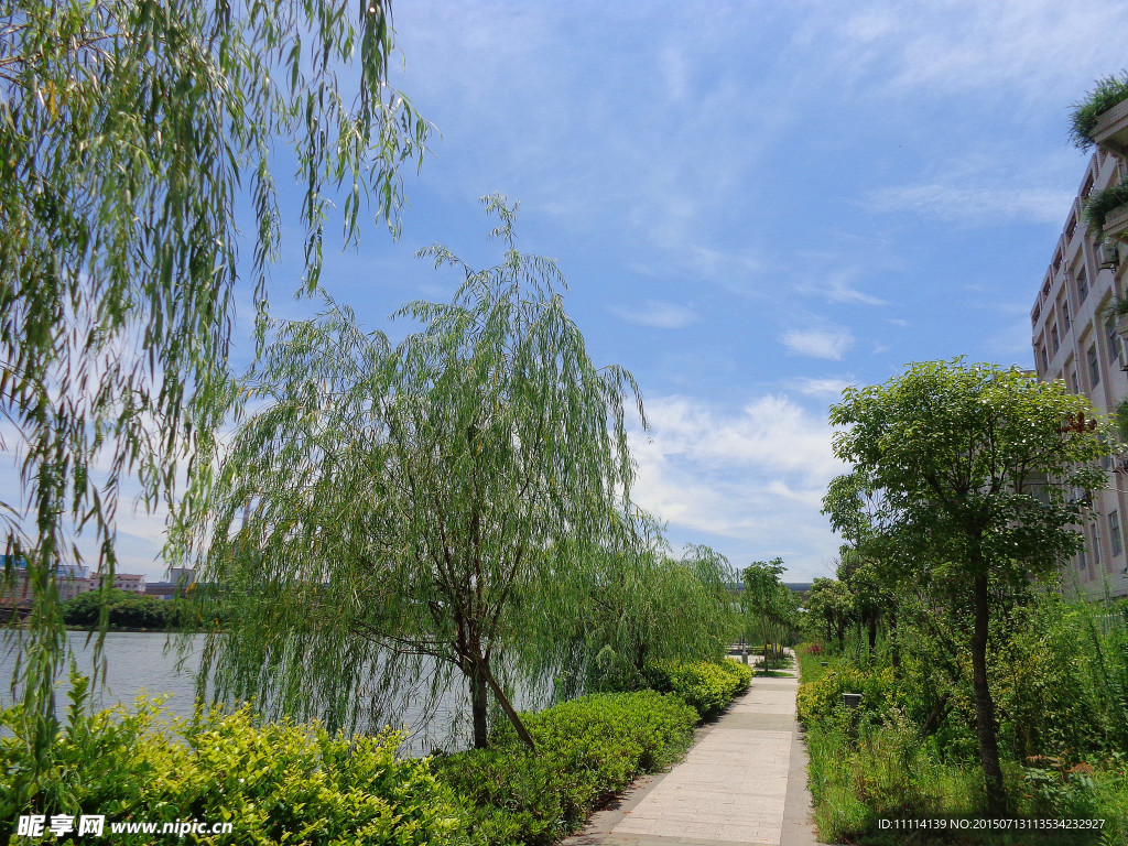 绍兴钱清西小江畔风景