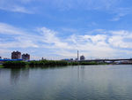 绍兴钱清西小江畔风景