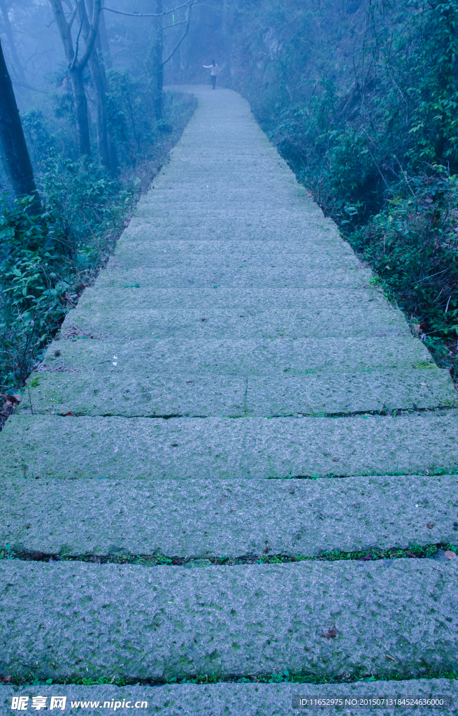 大罗山红枫古道