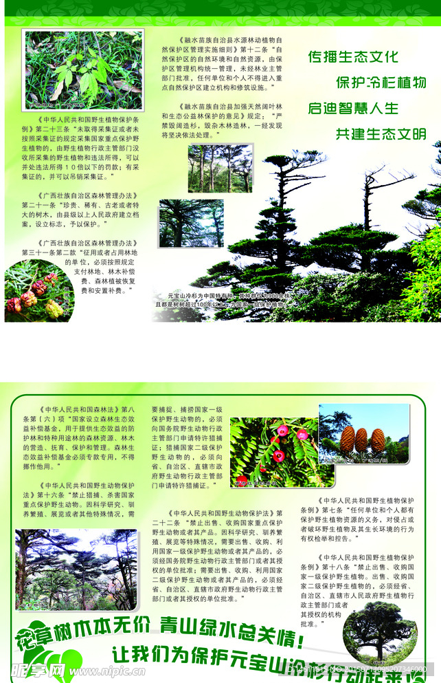 生态文化