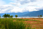 洱海夏景