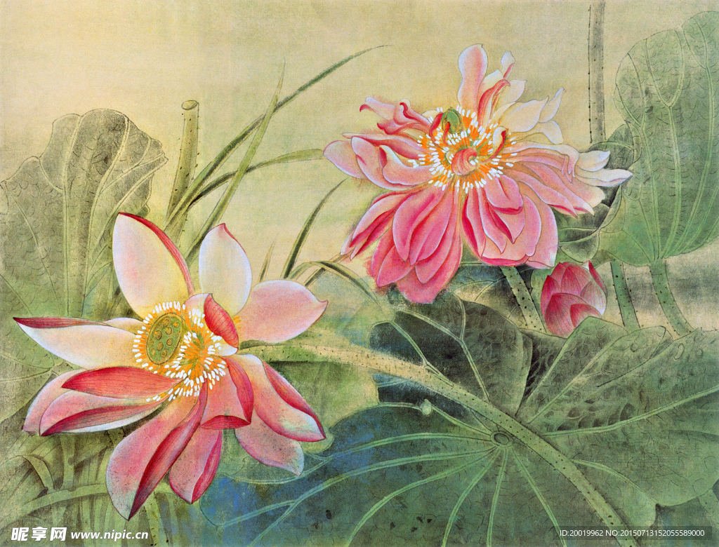 装饰画荷花