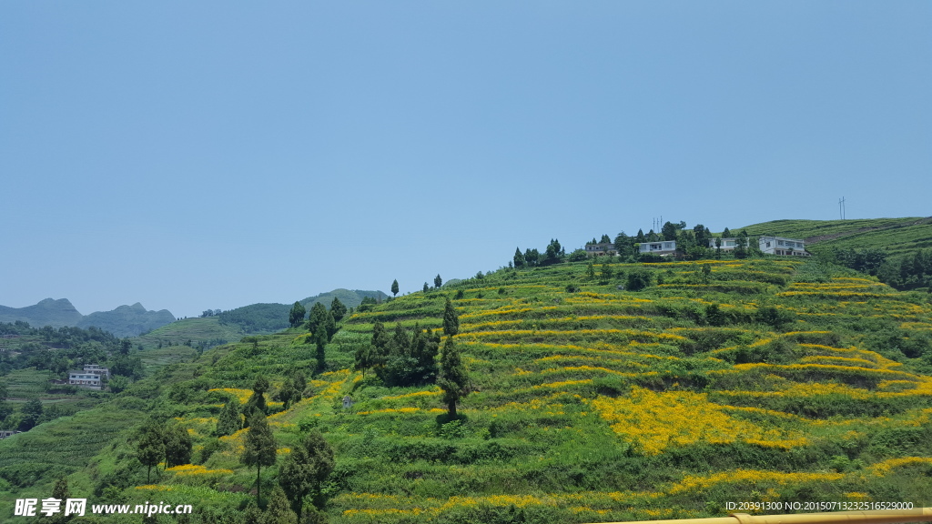风景