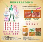 肝胆肠排毒净化自然疗法