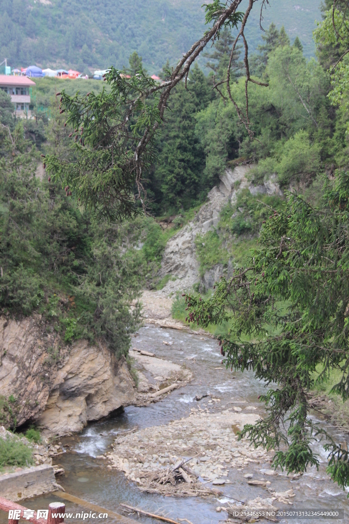 风景