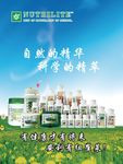 纽崔莱新产品