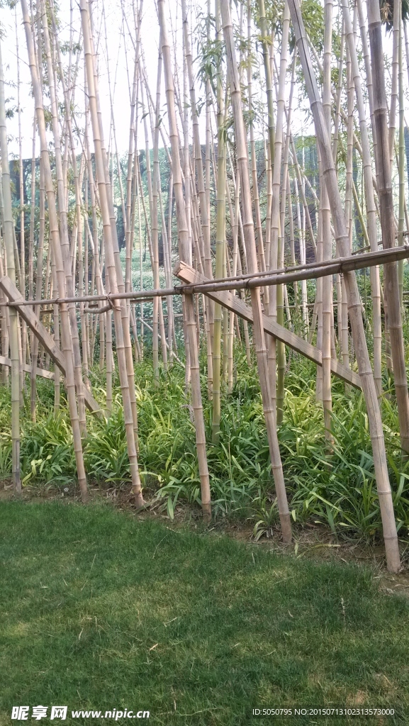 竹林草丛