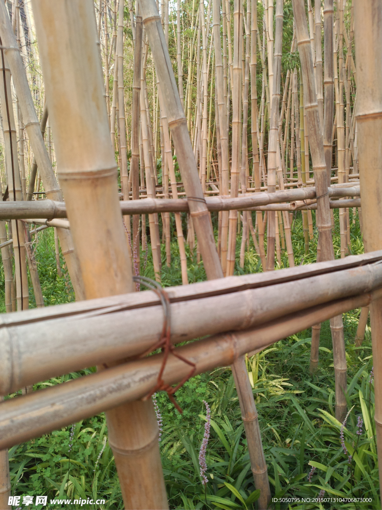 竹林草地