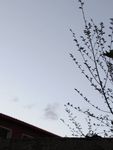 院子上的天空