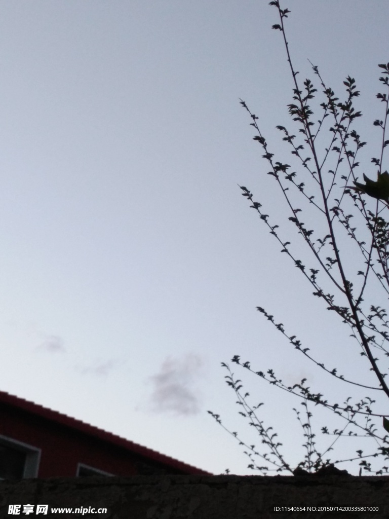院子上的天空