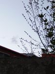 矮房上的天空