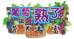 葡萄熟了