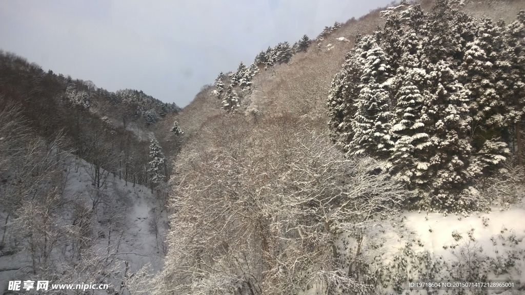 雪景