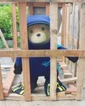 TED2潜水服样品