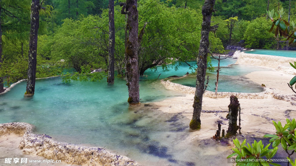 黄龙