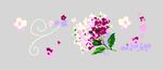花纹