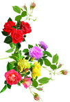 花纹