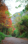 七星岩风光