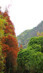 七星岩风光