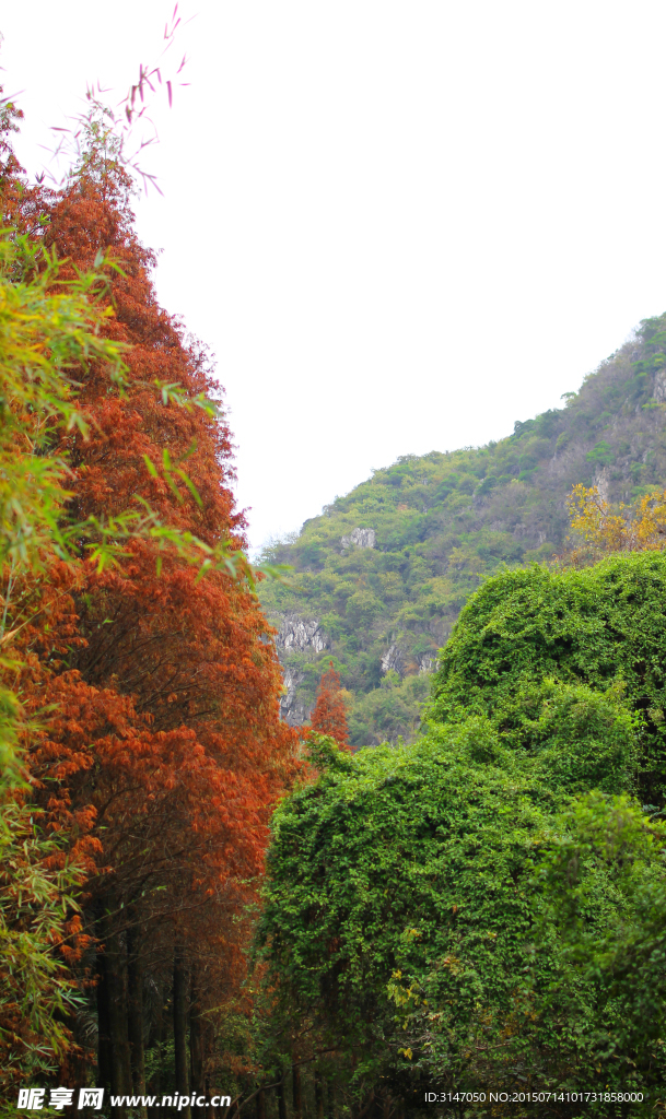 七星岩风光