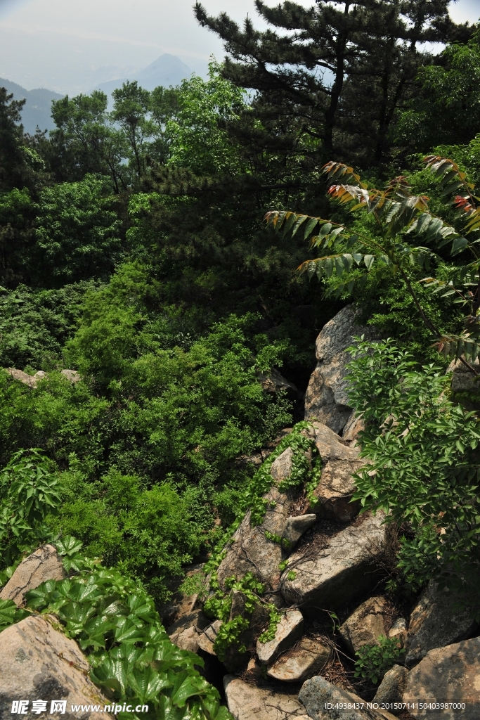 山谷  山区风景