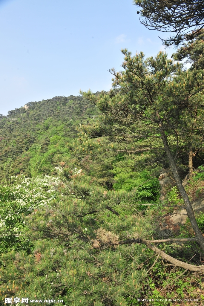 山区风景