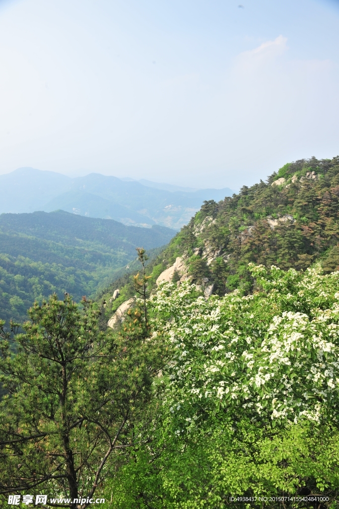 山谷 山区