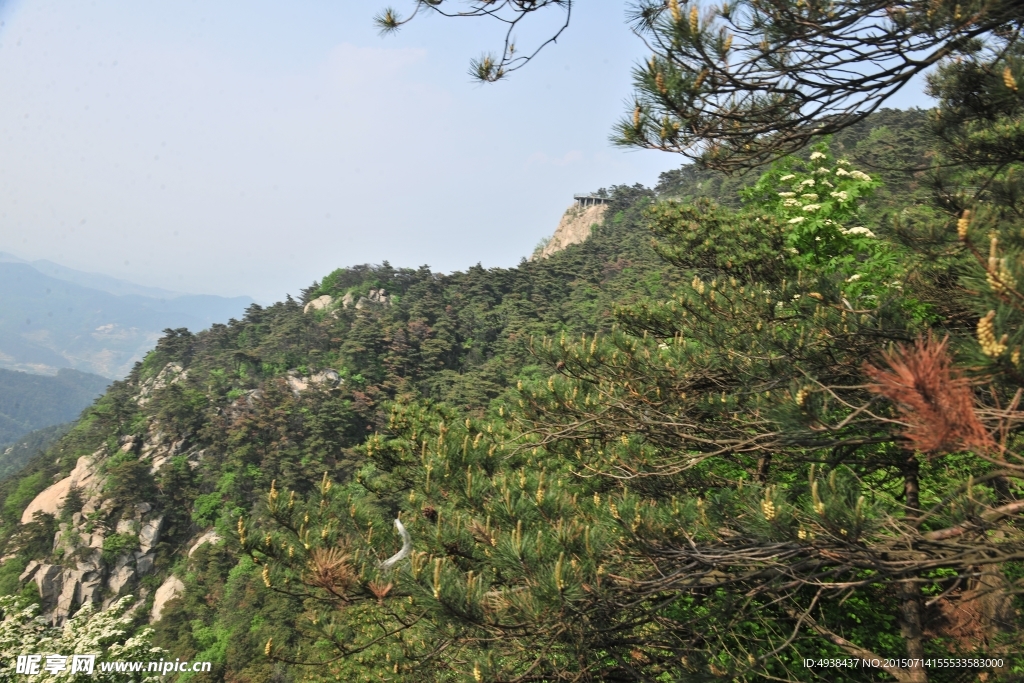 山景