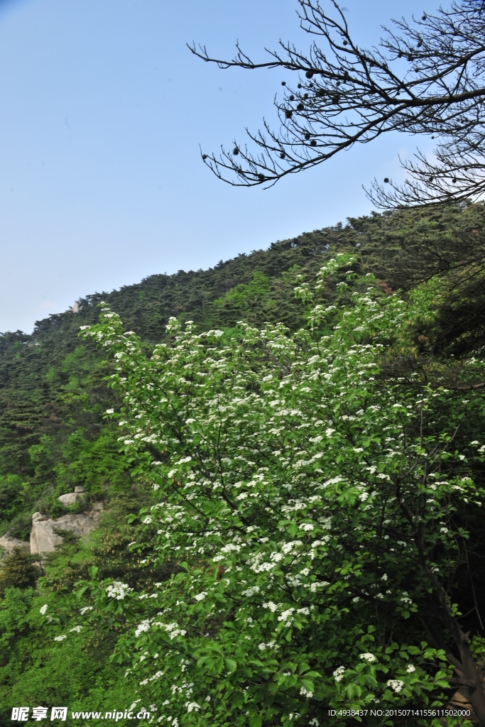 山脉 山区风景