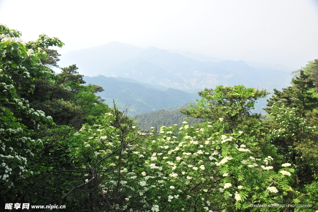 山区风景 松花