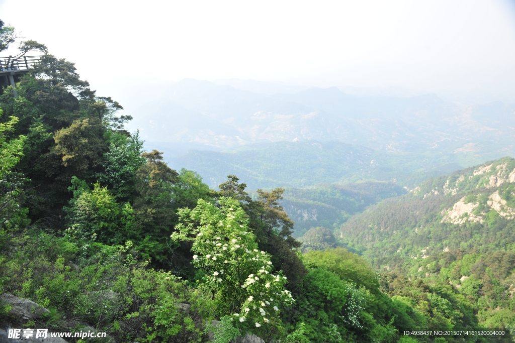 山谷 山景