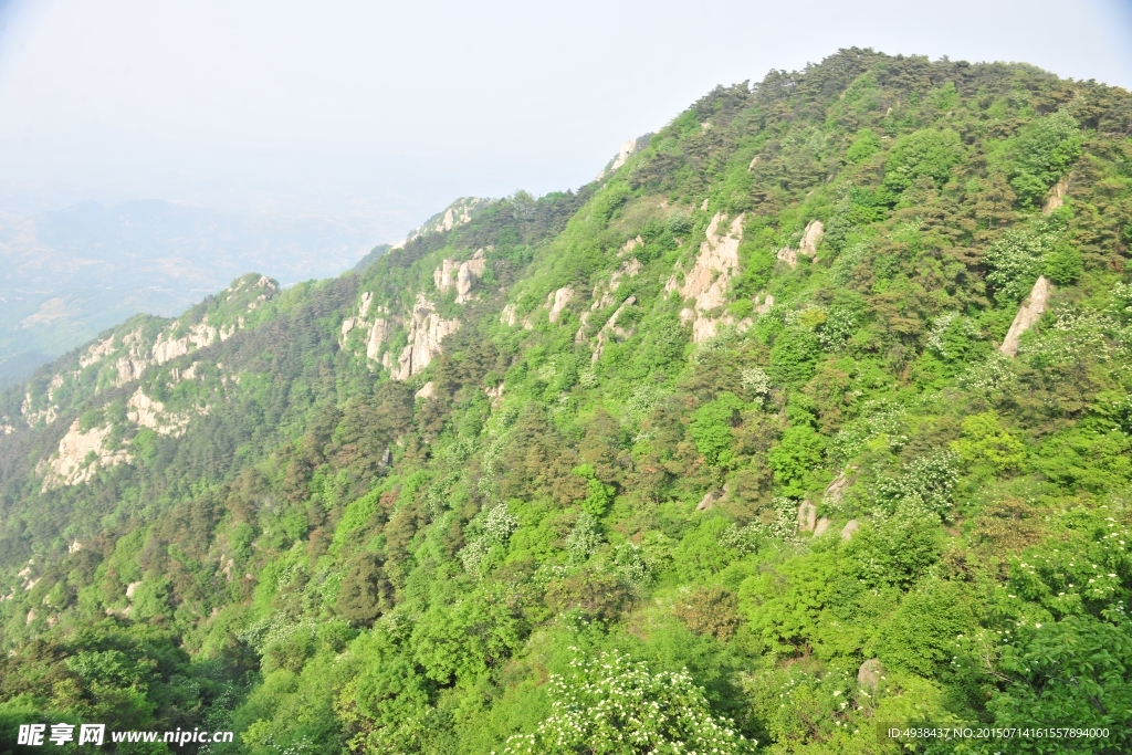 大山 丘陵