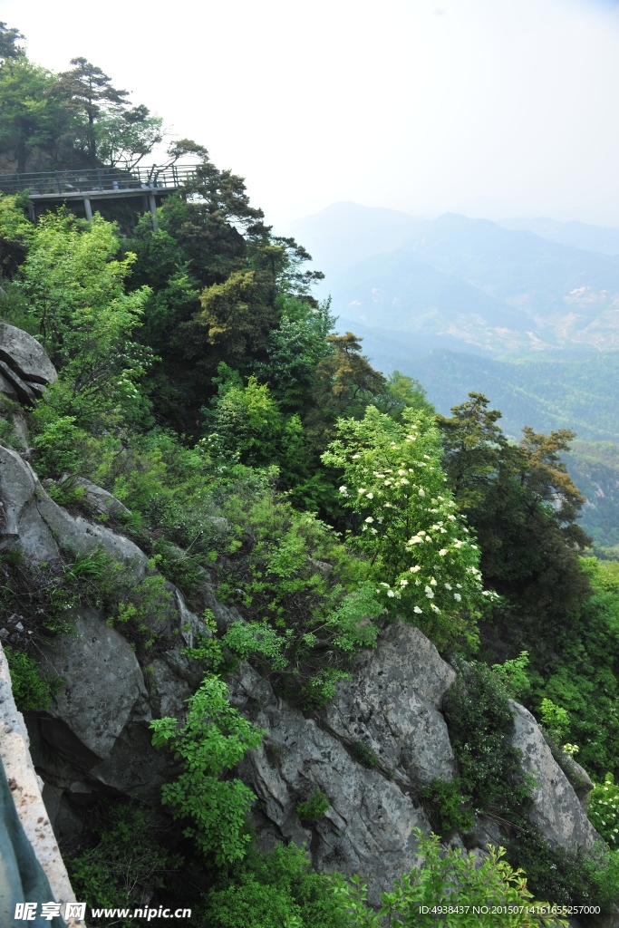 山石 山谷 山景