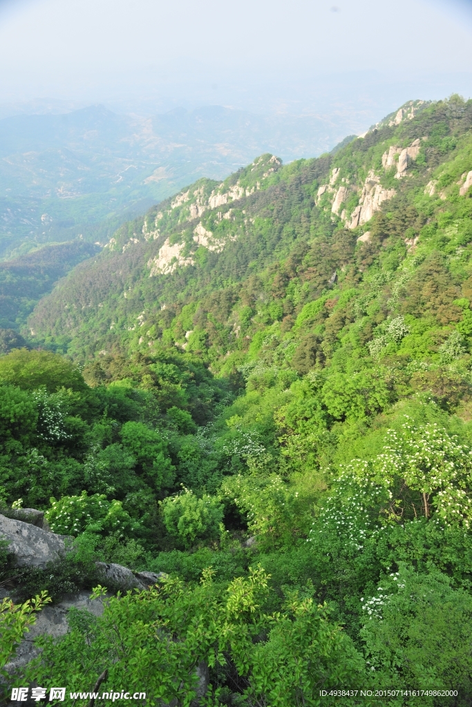 山谷 山景