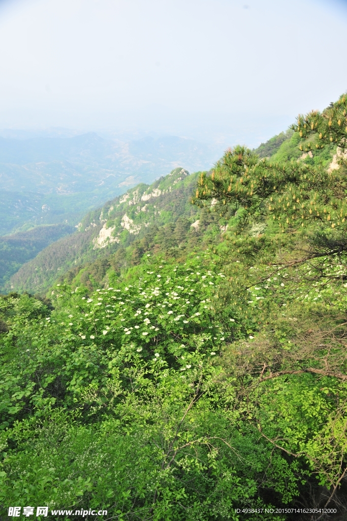 山景