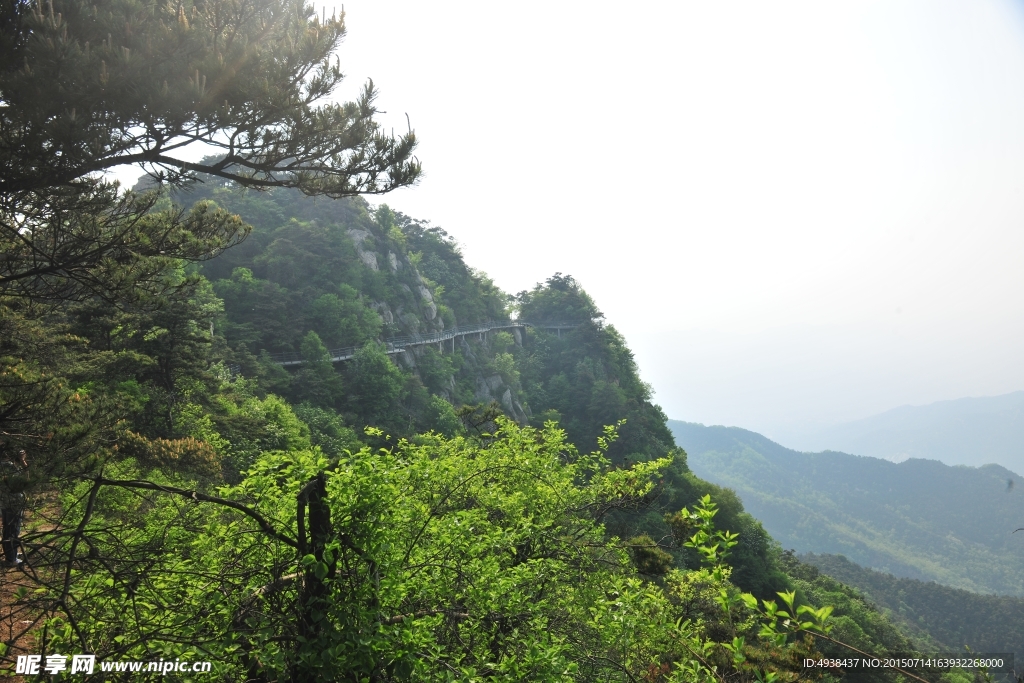 山景