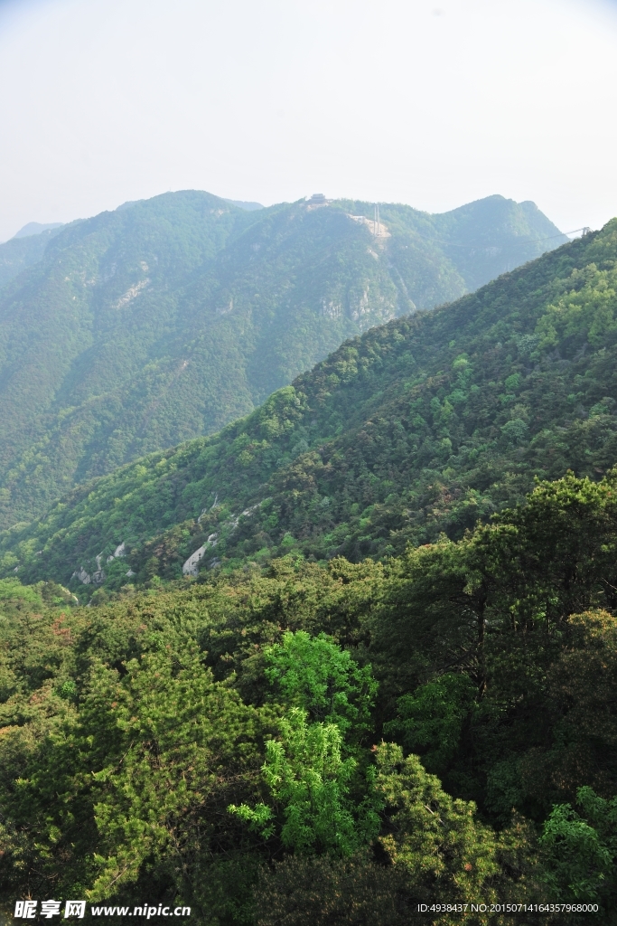 山谷 山区