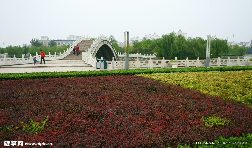 园林景色