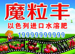水果蔬菜魔粒