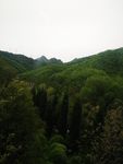 青山