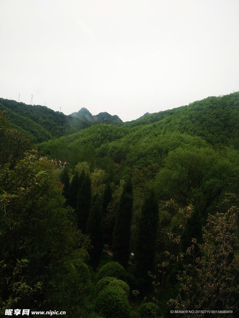 青山