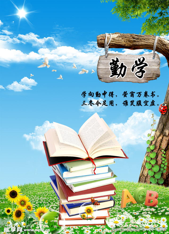 学校展板背景