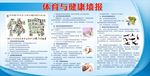 体育与健康墙报
