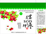 大枣包装