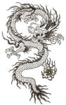 中国龙矢量素材